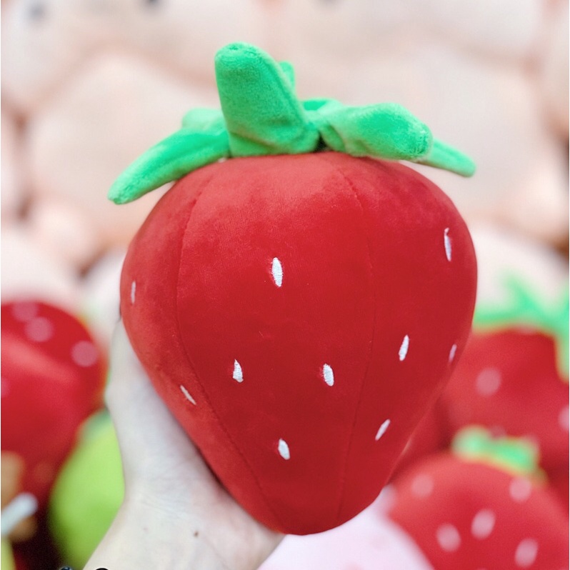 Dâu Tây hàng đẹp vải miso