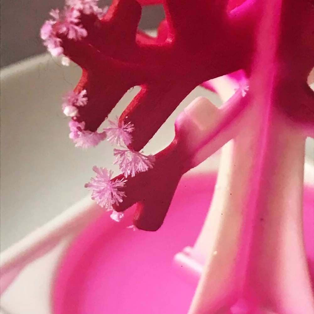 Cây hoa anh đào giấy ma thuật AUBREY1 nhiều màu sắc để bàn trang trí