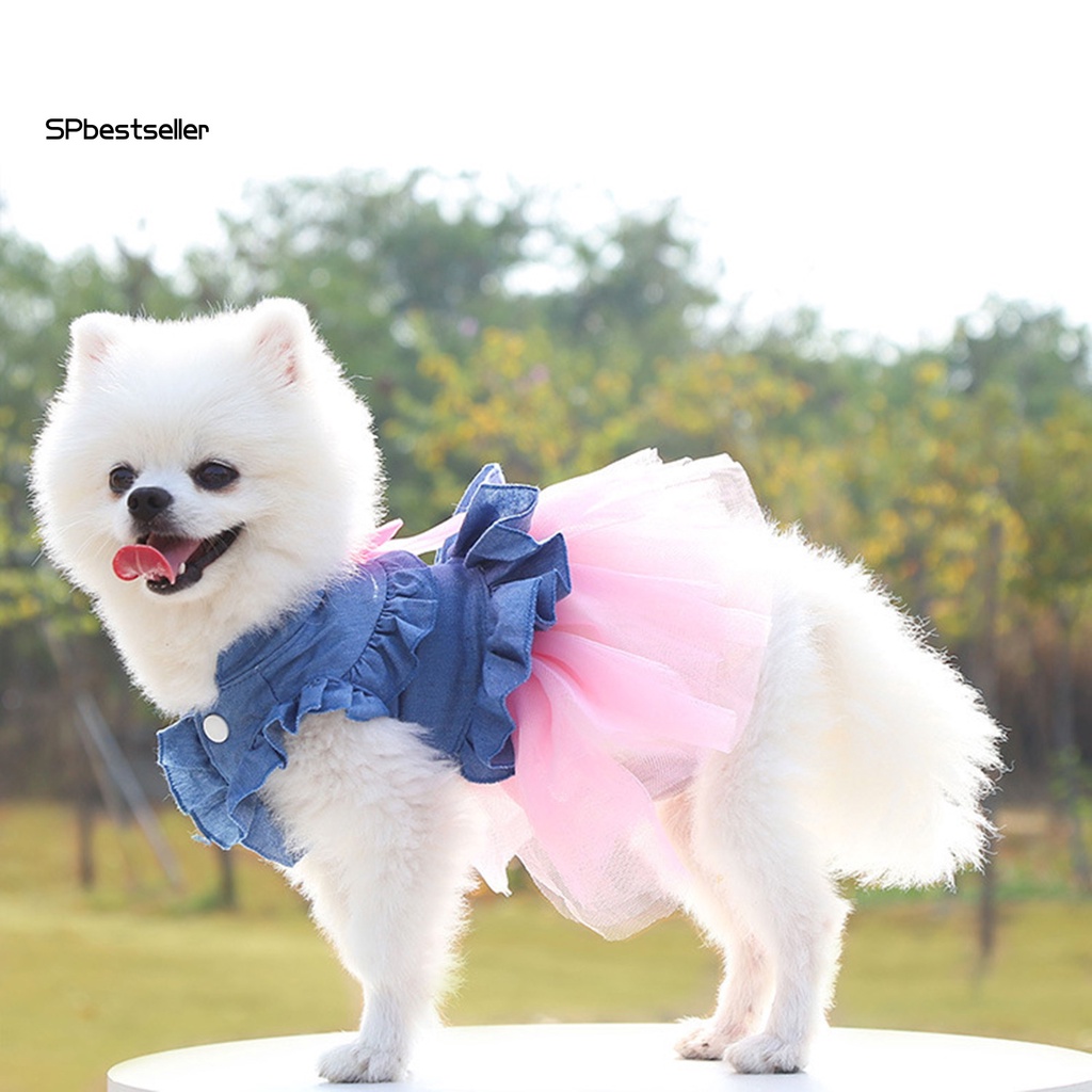 Đầm Lưới Chui Đầu Co Giãn Đáng Yêu Cho Cún Cưng