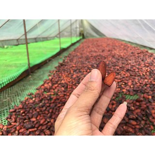 Bột cacao CacaoMi Premium 80g