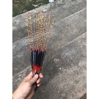 phao câu đài chuyên câu rô phi
