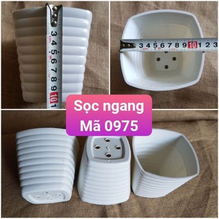 Chậu nhựa để bàn