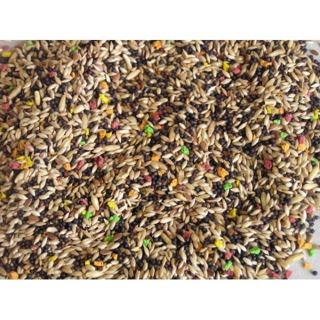 Hạt trộn hàng Ý cho Yến hót có hạt trái cây gói nguyên seal 1kg