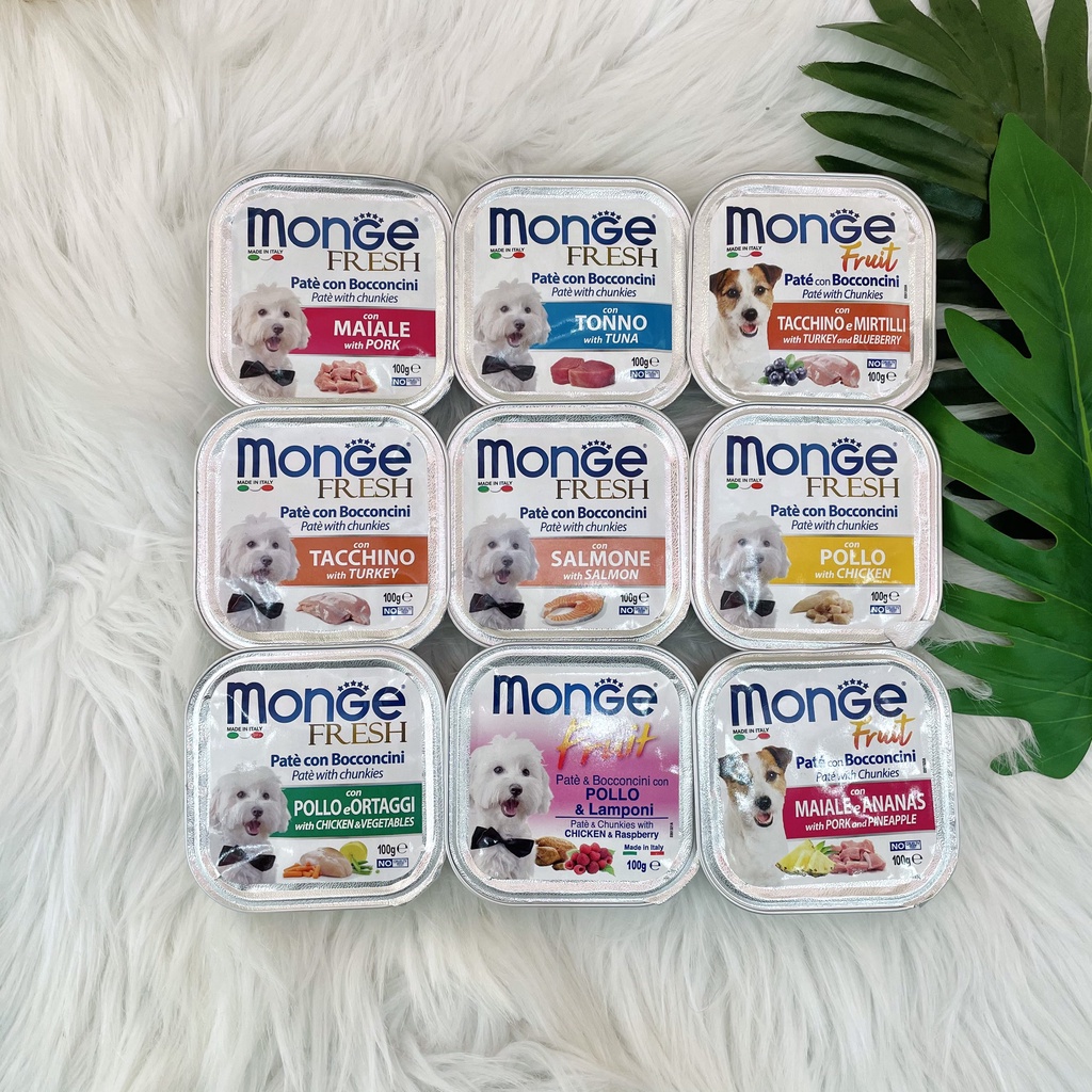 Pate Monge cho chó 100gr - Xuất xứ Ý