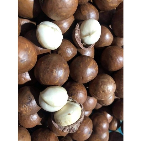 Hạt macca nứt vỏ - (Có tặng dụng cụ tách vỏ) - Loại 1 size lớn