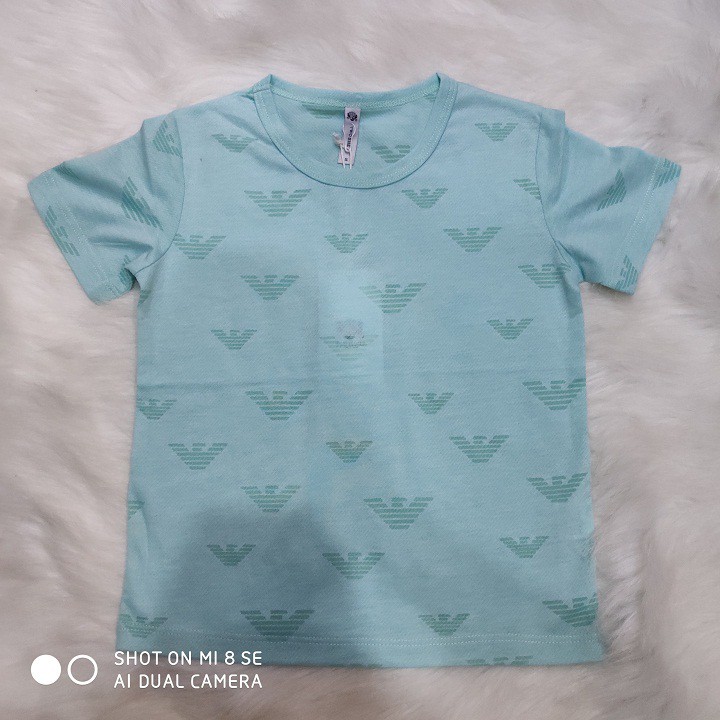 Áo thun bé trai, áo thu họa tiết nhiêu màu bé trai 013067