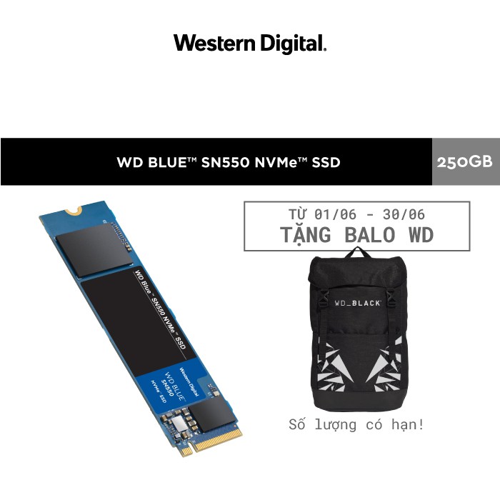  Ổ cứng SSD WD Blue SN550 250GB M.2 2280 NVMe Gen3 x4 WDS250G2B0C | BigBuy360 - bigbuy360.vn