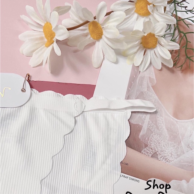 [BÁN SỈ] 10 quần lọt khe sexy  421 su lạnh