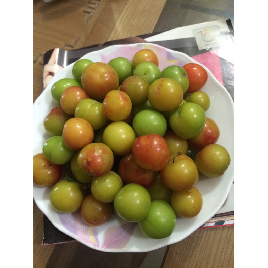 mận cơm chchchnkavdkdbshgdj