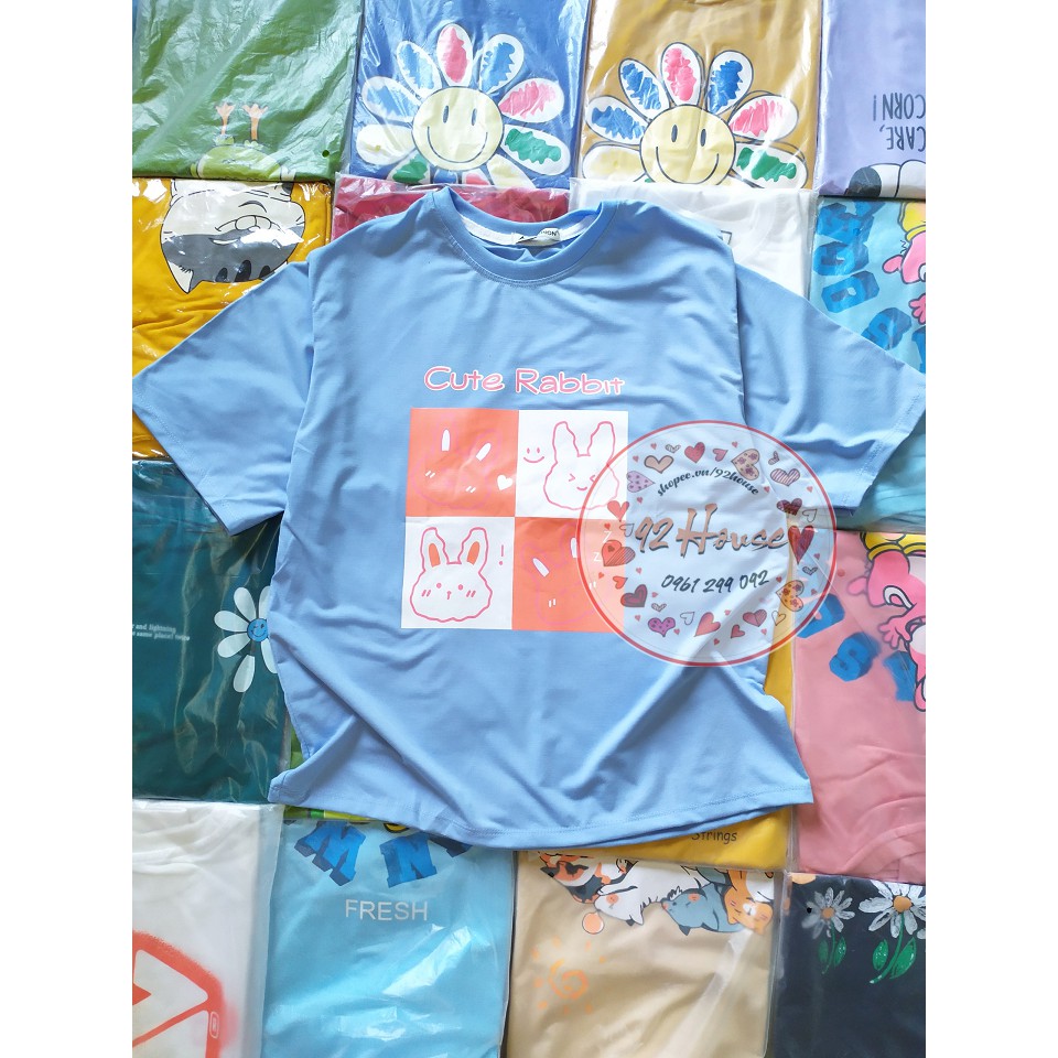 Áo thun tay lỡ unisex thỏ rabbit freesize form rộng