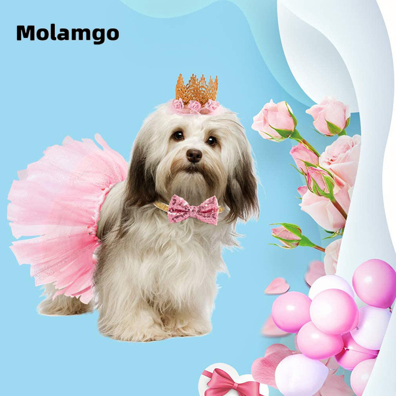 Đầm Công Chúa Xinh Xắn Cho Thú Cưng