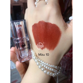 Son thỏi lì siêu mịn môi DOLLY VARIETY [Màu Nâu trầm]