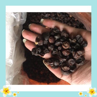 Combo 1kg lá móc mật và 500g hạt móc mật cho khách chất lượng giá rẻ