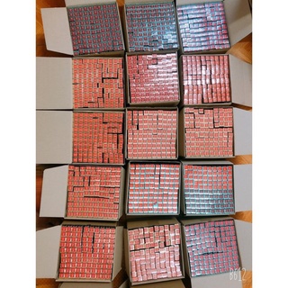 SON KEM LÌ / SON BIBIA LAST VELVET LIP TINT VERSION