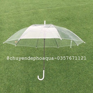 [Sẵn hàng] Ô trong suốt - Phụ Kiện Sống ảo