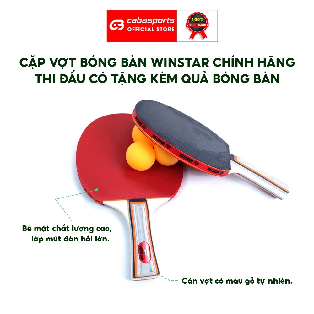 Cặp vợt bóng bàn tập luyện Winstar WS-5 WS-8 chính hãng 5 sao 8 sao có tặng kèm 3 quả bóng