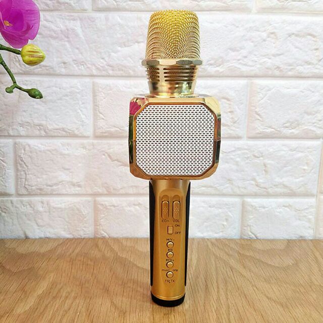 Micro Karaoke Bluetooth SD-10