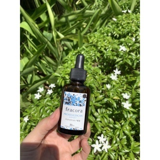 Serum chống lão hoá FRACORA Fracora LIFTest Proteoglycan