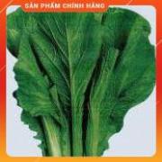 HẠT GIỐNG CẢI CANH HỒNG KÔNG CAO SẢN GÓI 20 GRAM