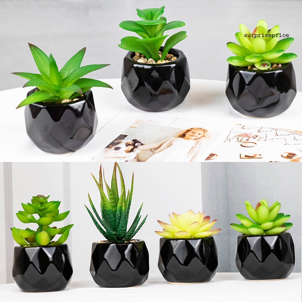 Chậu cây bonsai giả bằng PVC có thể tái sử dụng trang trí nhà cửa