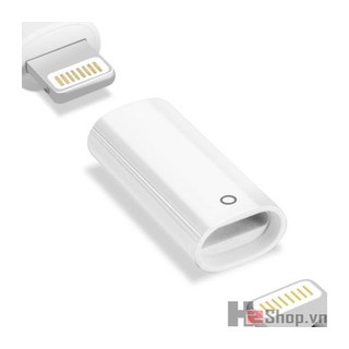 ADAPTER SẠC APPLE PENCIL