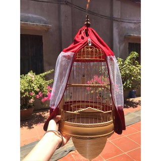 ÁO LỒNG KHUYÊN LƯỚI