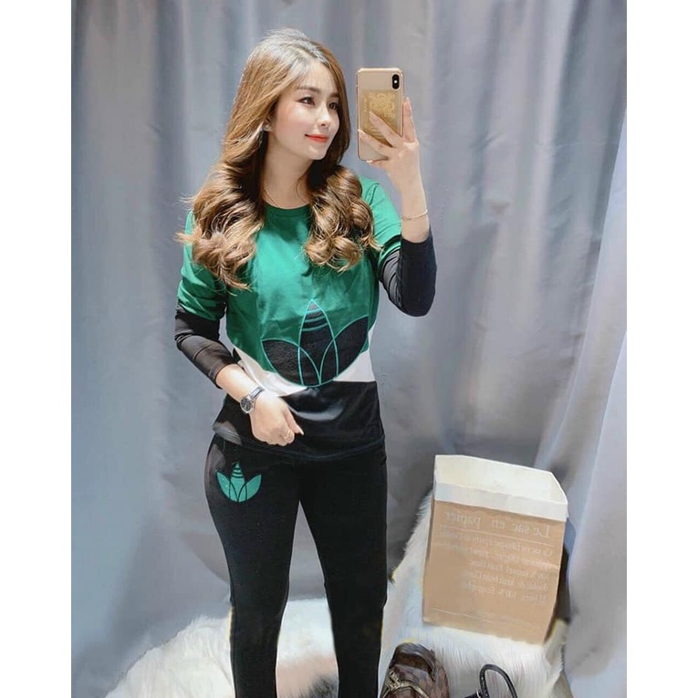 Đồ bộ cotton nữ tay dài - Phối màu - logo thêu - 42kg đến 70kg