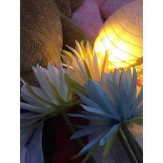 🌺[Order] Hoa lụa chụp ảnh