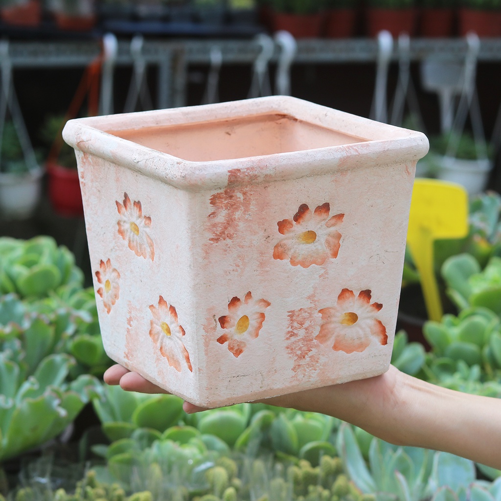 Chậu đất trồng cây hoa văn kiểu dáng retro, vintage