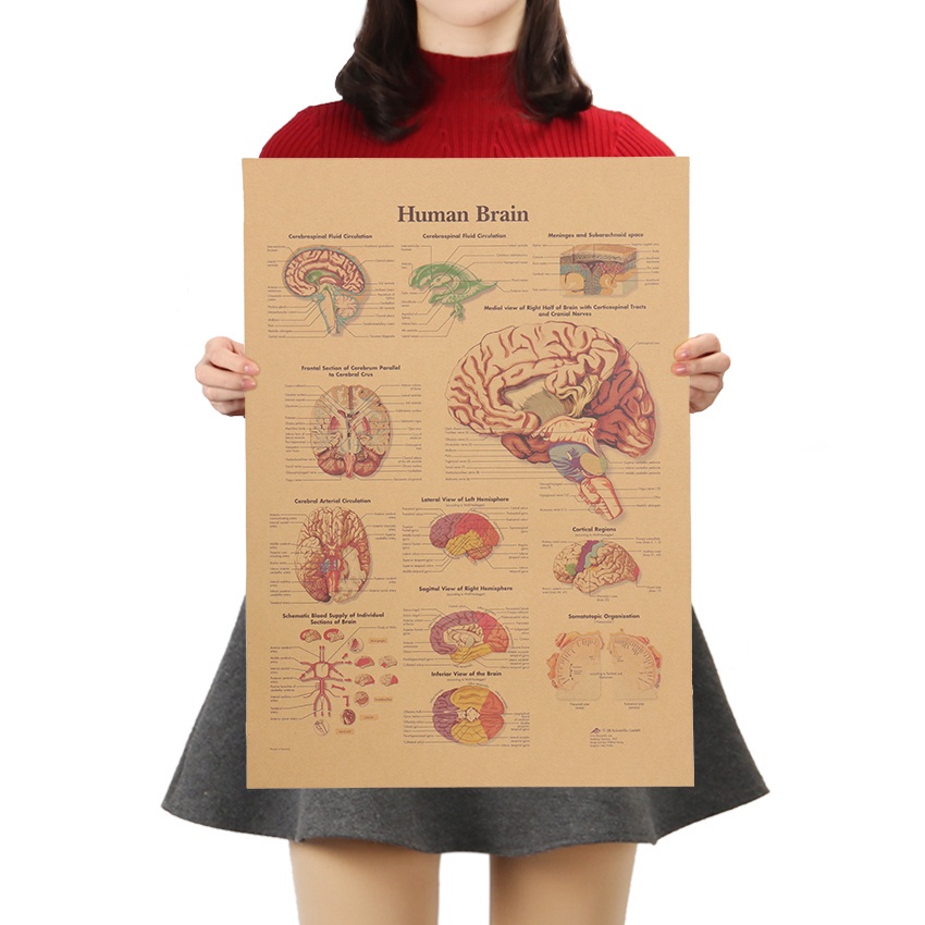 Poster Giấy kraft Dán Tường Trang Trí Quán Cà Phê Phong Cách Vintage