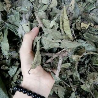 1kg xạ đen nhà trồng