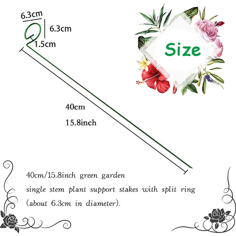 Giá Đỡ Hỗ Trợ Gieo Hạt Giống Trồng Cây Cho Cha Mẹ / Bà Grandmother