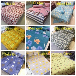 Set cottonpoly ga + 2 vỏ gối giá siêu rẻ ( chat chọn mẫu )