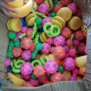 Cá gặm cho chó sạch răng - Đồ chơi 006