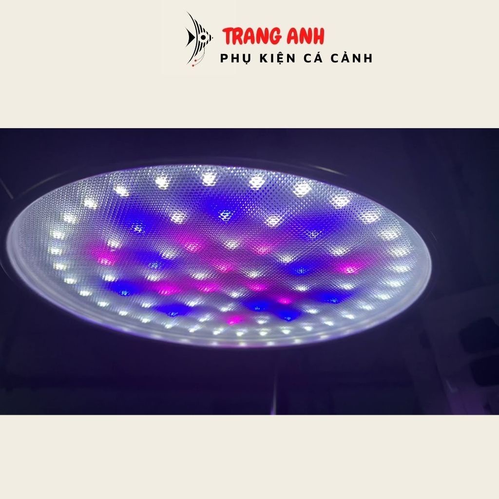 Đèn led kẹp Xima 40w ánh sáng RGB/ ánh sáng trắng - Đèn led kẹp bể thủy sinh- Bán Cạn