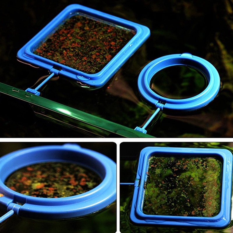 Khay đựng thức ăn cho cá cảnh dạng nổi dáng vuông hoặc tròn dành cho hồ cá