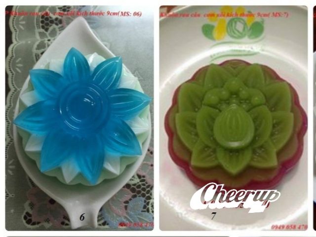 Khuôn Rau Câu Trung Thu vĩnh trường
