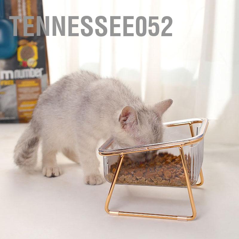 Hàng HOT Bát ăn nghiêng Bát nước Nâng cao chống gù cho mèo chó trong suốt【Tennessee052】