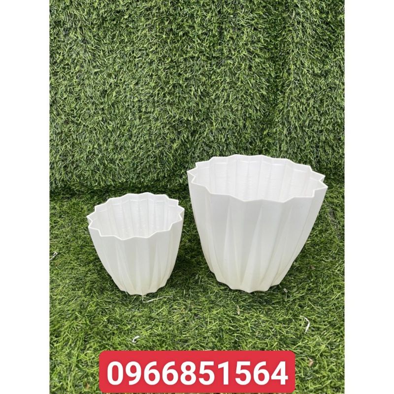 Combo 10 chậu nhựa màu trắng hoạ tiết khế,trồng cây hoa tiểu cảnh để bàn cao cấp,bền đẹp
