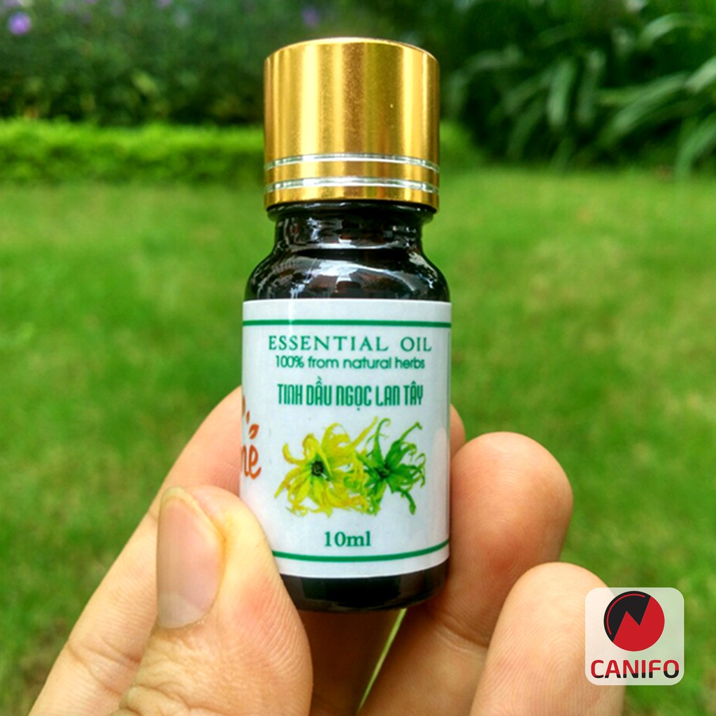 Tinh dầu ngọc lan tây nguyên chất 10ml Canifo - Tinh dầu thiên nhiên - Tinh dầu ngọc lan tây Ylang Ylang hữu cơ