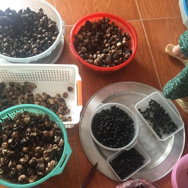 1kg Tỏi đen 1 nhánh nhà làm | BigBuy360 - bigbuy360.vn