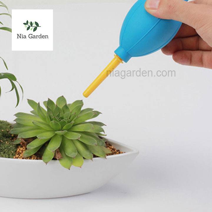 Phụ kiện tiểu cảnh bóng thổi bụi trang trí terrarium, cây cảnh