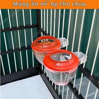 Cóng ăn uống cho chim