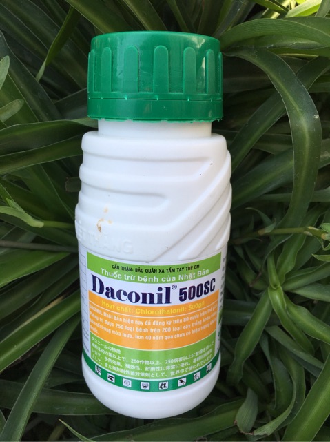 Daconil 500SC thuốc trừ nấm bệnh hại cây trồng