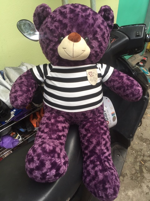 Gấu teddy khổ 1m màu tím than