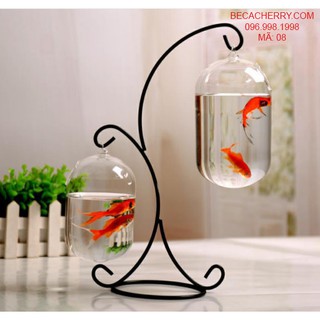 Bể cá mini chữ X - 08 ( Tặng kèm phụ kiện trang trí )