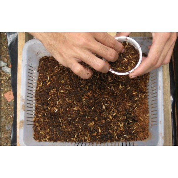 Giá Thể Vỏ Trấu Trồng Rau, Hoa Kiểng (1kg)