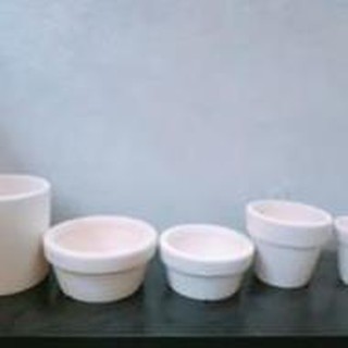 Chậu Trồng Sen Đá