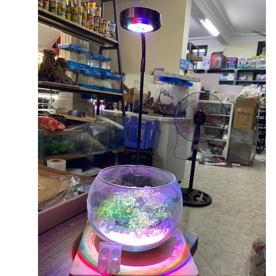 Đèn Led Rọi Đế Gỗ 3W - Ánh Sáng RGB