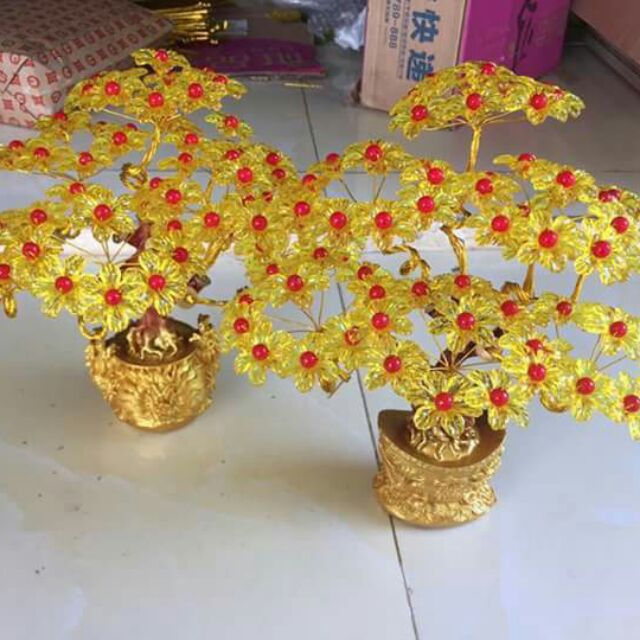 Cây tài lộc vàng